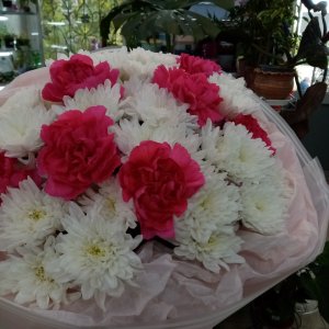  Родники