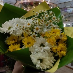  Родники