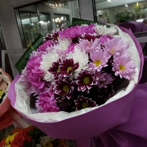  Родники