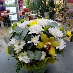  Родники