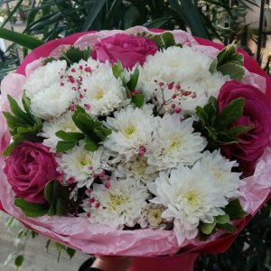  Родники