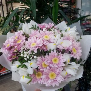  Родники