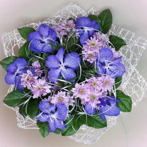  Родники