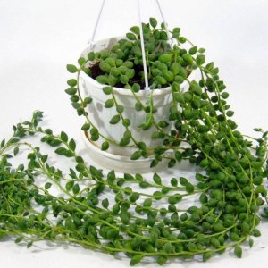  Родники