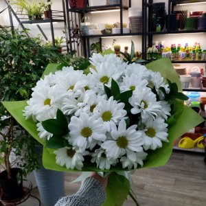  Родники