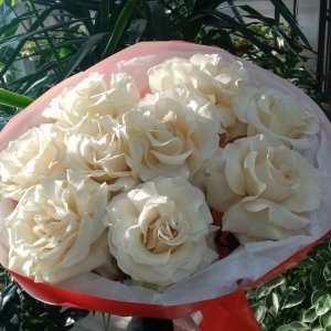  Родники