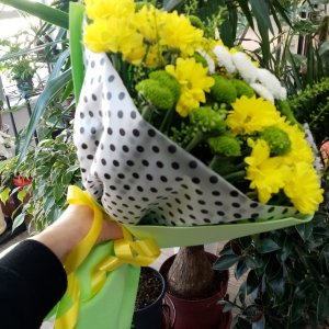  Родники
