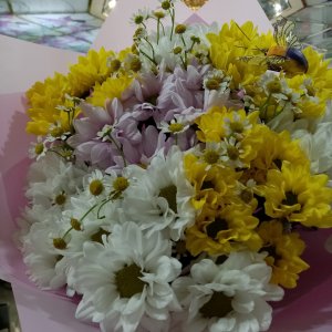  Родники