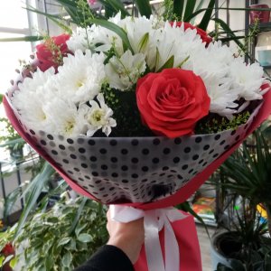  Родники